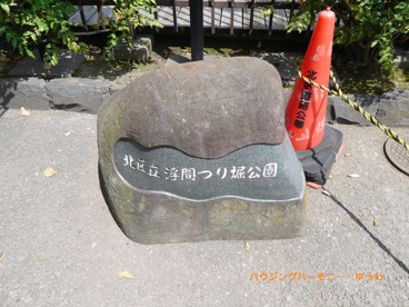 浮間つり掘公園の画像1