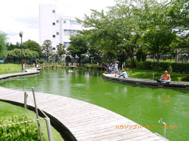 浮間つり掘公園の画像3