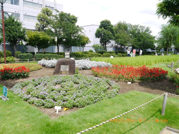 浮間つり掘公園の画像4