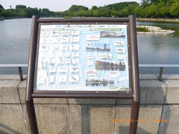 浮間公園の画像2