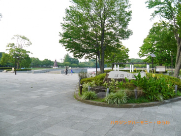 浮間公園の画像5