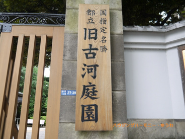 旧古河庭園の画像1