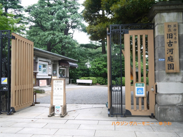 旧古河庭園の画像2