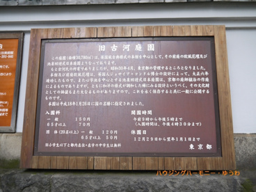 旧古河庭園の画像3