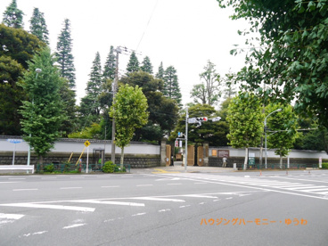 旧古河庭園の画像5