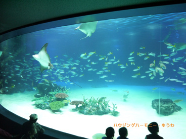 サンシャインシティの画像5