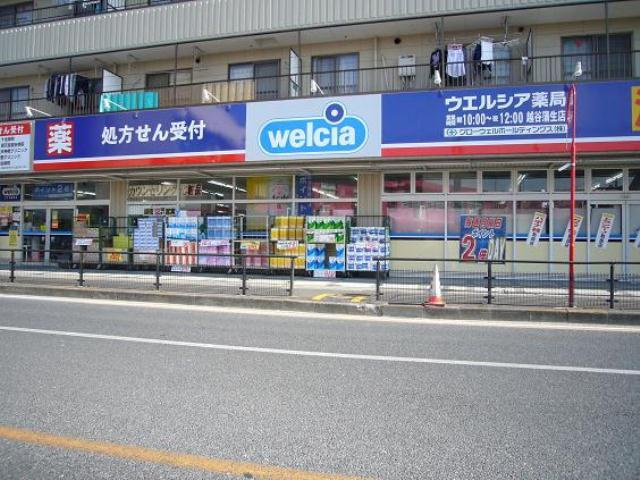 の画像
