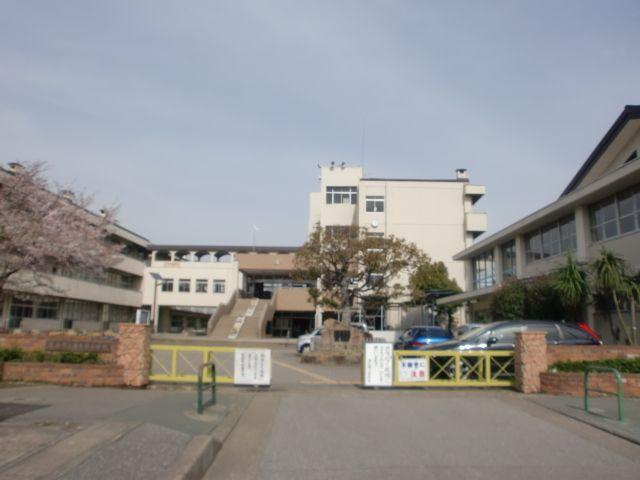 の画像