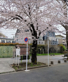 上水橋緑地の画像1