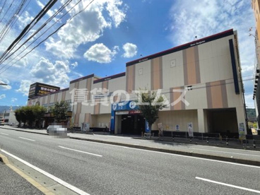 MEGAドン・キホーテ那珂川店 MEGAドン・キホーテ那珂川店の画像4