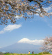 雁公園の画像