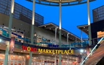 ヤオコー ワカバウォーク店(埼玉県)