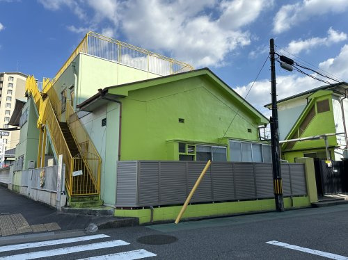 の画像