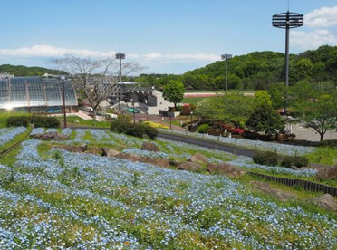 厚木市荻野運動公園の画像1