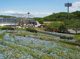 厚木市荻野運動公園の画像