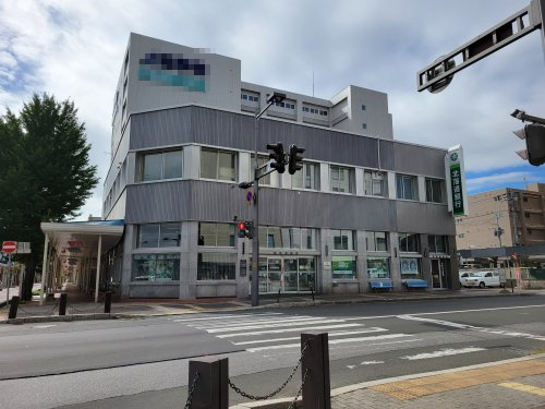 の画像