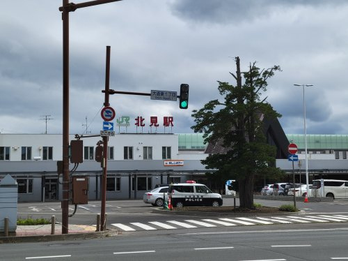 の画像