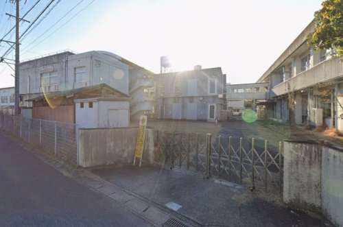 の画像