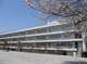 武蔵野市桜野小学校の画像