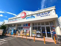 ウエルシア練馬谷原店