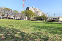 公園 美ノ宮公園