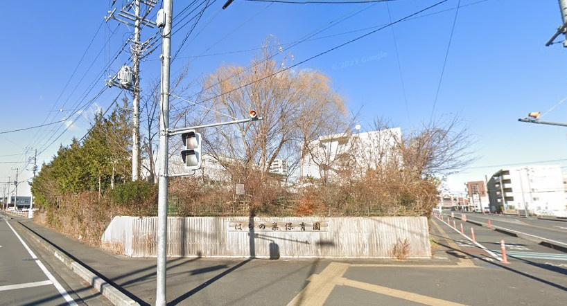 の画像