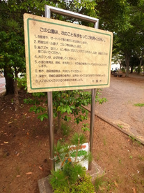都東公園の画像2