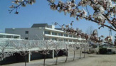  南小学校