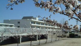  南小学校の画像1