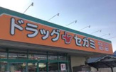 ドラッグセガミ 旭ヶ丘店
