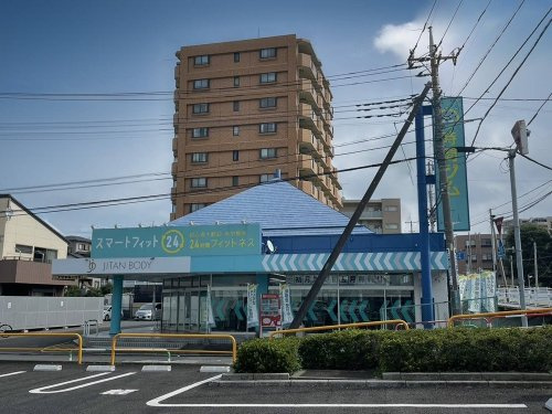 の画像