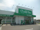 ザグザグ　安江店の画像