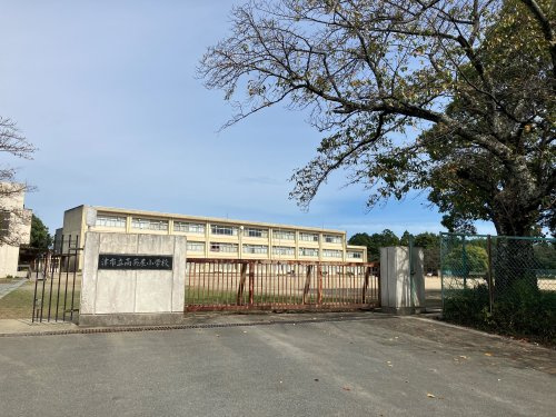 の画像