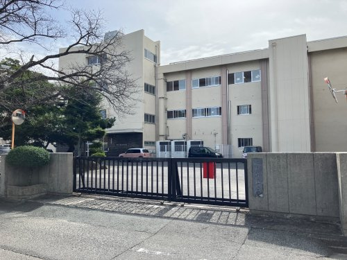 の画像