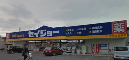デイリーケアセイジョー 毛呂山長瀬店の画像1
