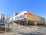 ベルク フォルテ船橋店