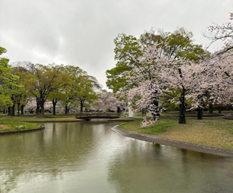 代々木公園の画像1