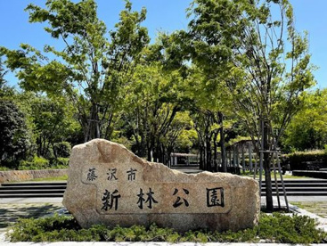 新林公園の画像1
