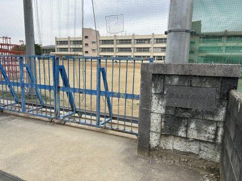 の画像