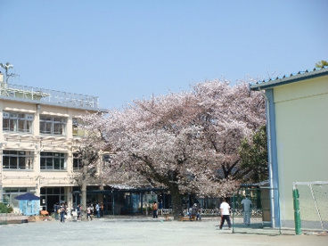 世田谷区立砧小学校の画像1