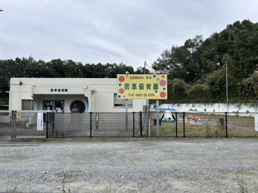 若草保育園の画像1