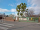 小金井市立緑小学校の画像