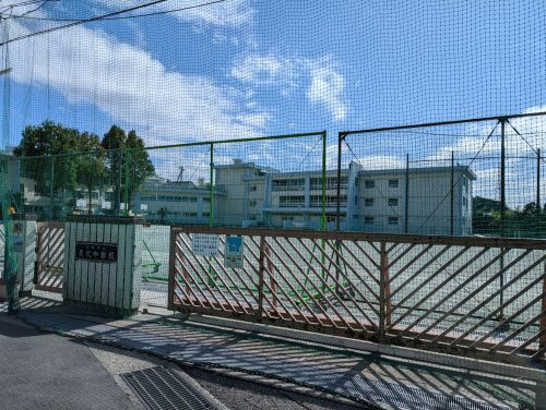 の画像