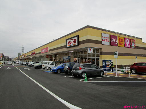 の画像
