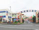カリブの画像