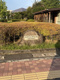 水前寺江津湖公園の画像