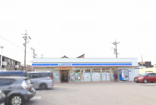 の画像
