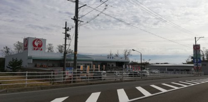 コメリハード＆グリーン峰浜店の画像1