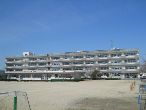 の画像