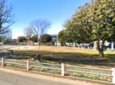 別府第１公園